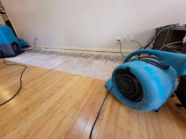 Professional Flood Damage Cleanup technician working in New Castle, NH